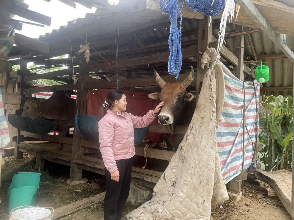 Chủ động ứng ph&oacute; với r&eacute;t đậm, r&eacute;t hại, bảo vệ sản xuất n&ocirc;ng nghiệp