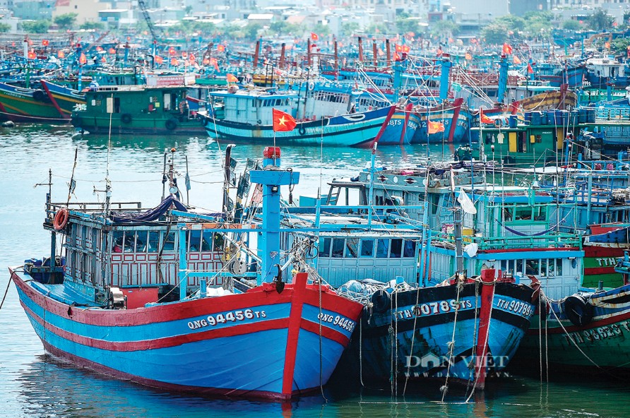 Gi&aacute; dầu tăng mạnh, nhiều ngư d&acirc;n &ldquo;bỏ biển&rdquo; chờ giải ph&aacute;p