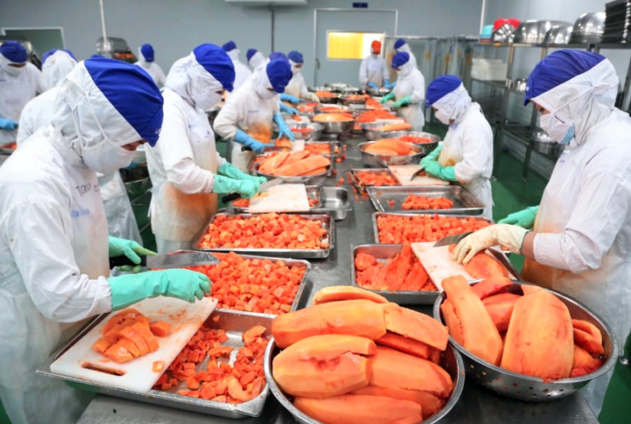 Xuất khẩu tăng gần 73%, ng&agrave;nh rau quả bứt tốc ngay từ đầu năm