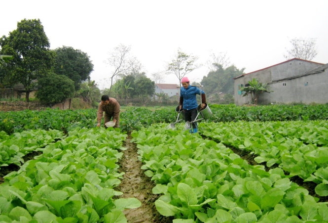 Mưa lũ k&eacute;o d&agrave;i, gi&aacute; thực phẩm đẩy CPI th&aacute;ng 10 tăng nhẹ