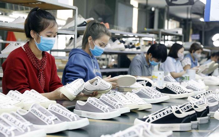 Tỷ lệ sử dụng giấy chứng nhận xuất xứ trong EVFTA có chiều hướng tăng dần