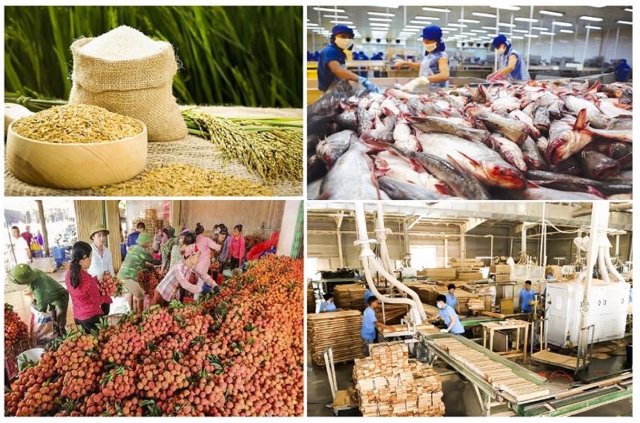 Thuế GTGT nông sản: Rào cản chính sách đang khiến hàng nghìn tỷ đồng của doanh nghiệp ứ đọng
