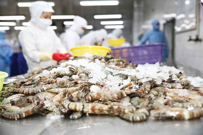 Xuất khẩu tôm tăng trưởng mạnh tại các thị trường chủ lực