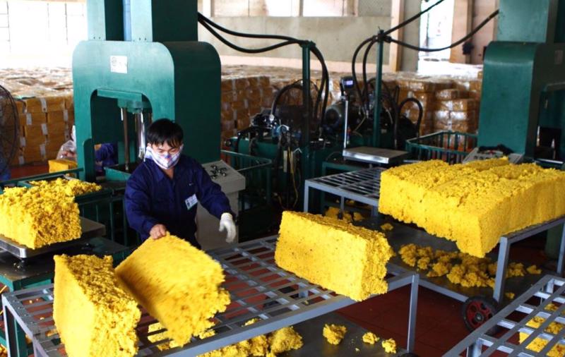 Xuất khẩu toàn ngành cao su lập kỷ lục 10,2 tỷ USD