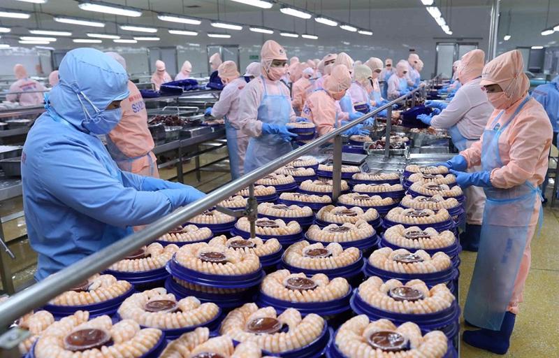 Nhiều cơ hội đang mở ra cho xuất khẩu sang Nga