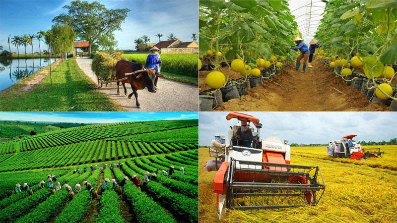 Nguyên nhân của việc chậm giải ngân vốn Chương trình Mục tiêu quốc gia giảm nghèo