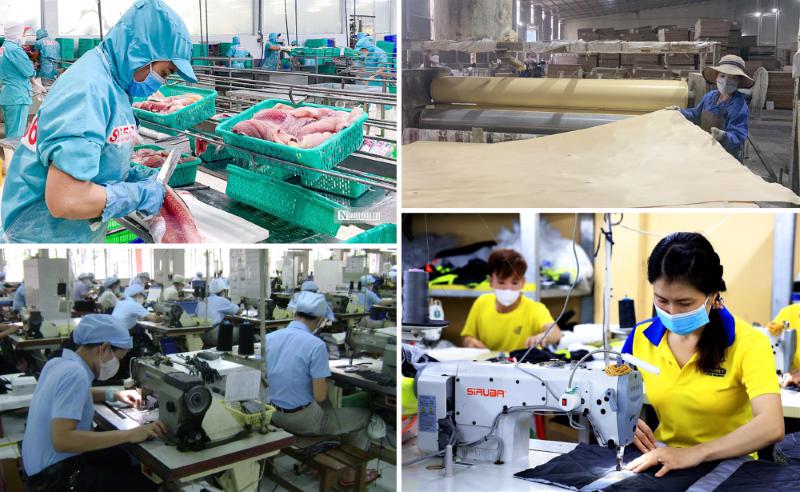 Kinh tế tư nhân chính thức được hưởng nhiều cơ chế chính sách đặc biệt
