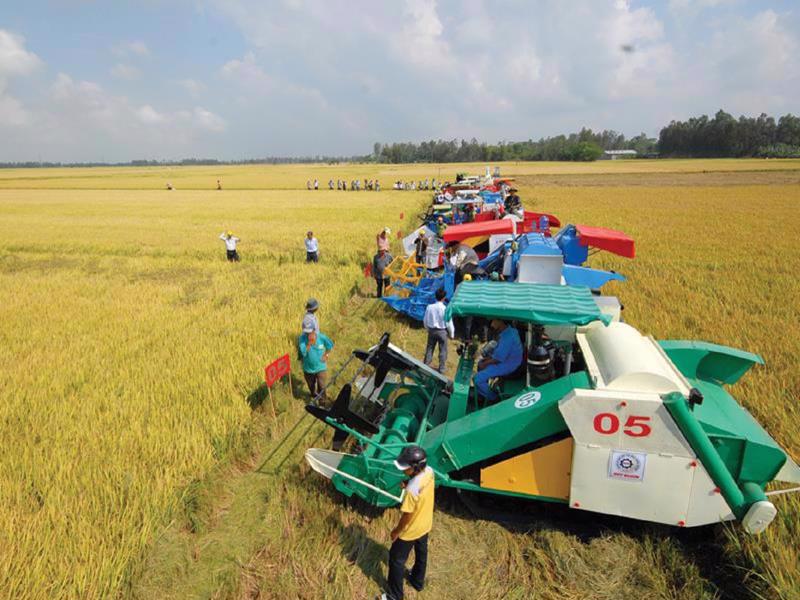 Quốc hội đồng ý kéo dài thời hạn miễn thuế sử dụng đất nông nghiệp đến hết 31/12/2030