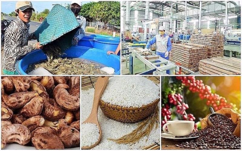 Xuất khẩu nông lâm thuỷ sản tháng 1/2025 suy giảm, nhưng vẫn có một số mặt hàng tăng trưởng